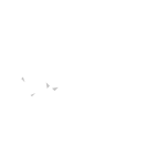 cittius
